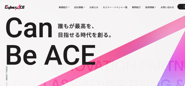 株式会社CyberACE