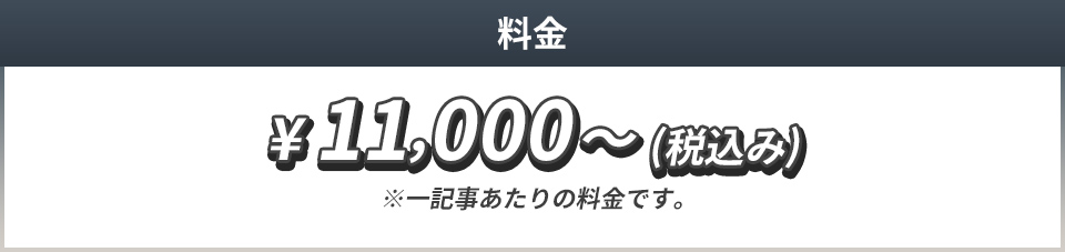 11000円(税込)～